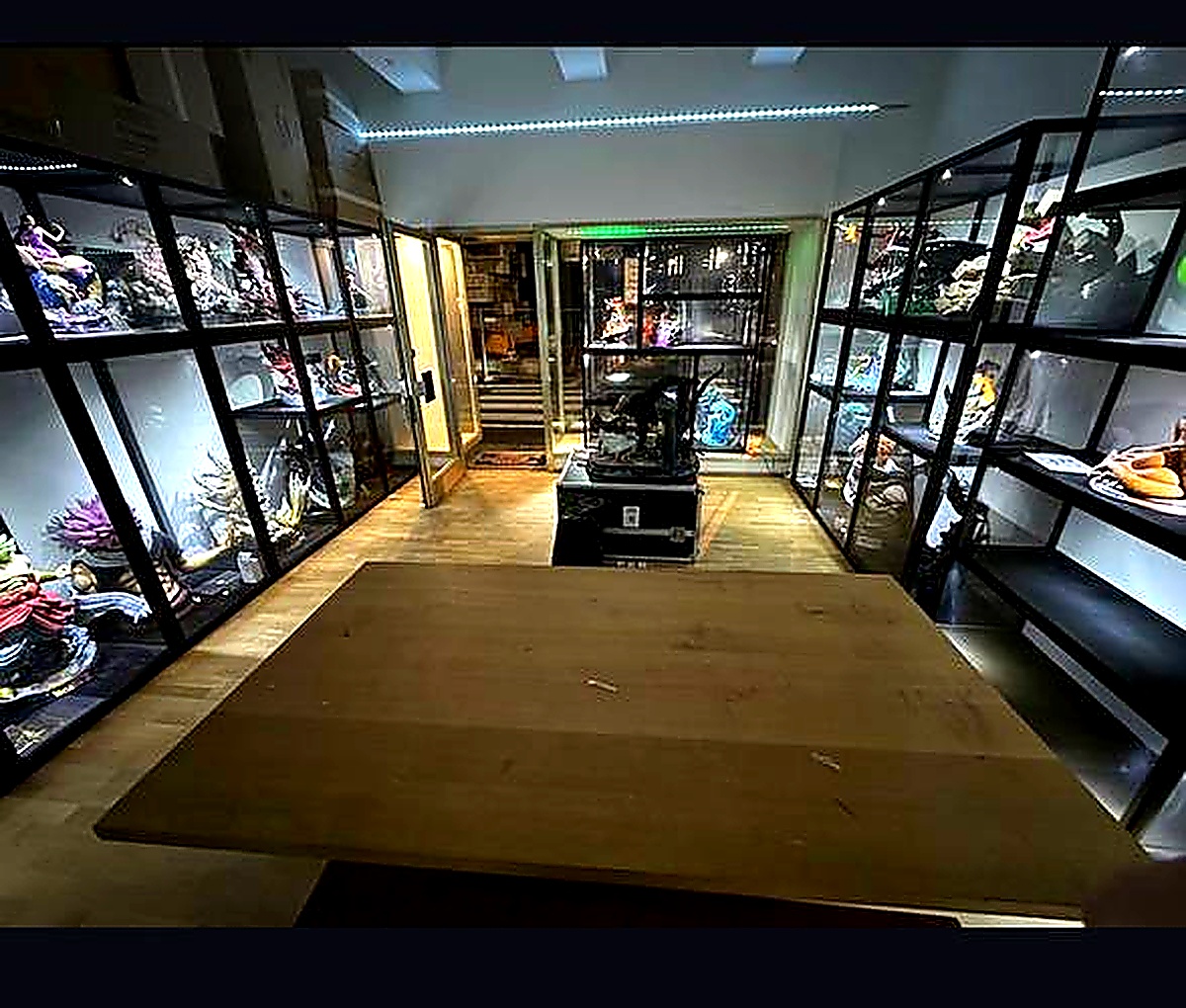 Full showroom gallery view with vitrines along both walls and wooden center display table